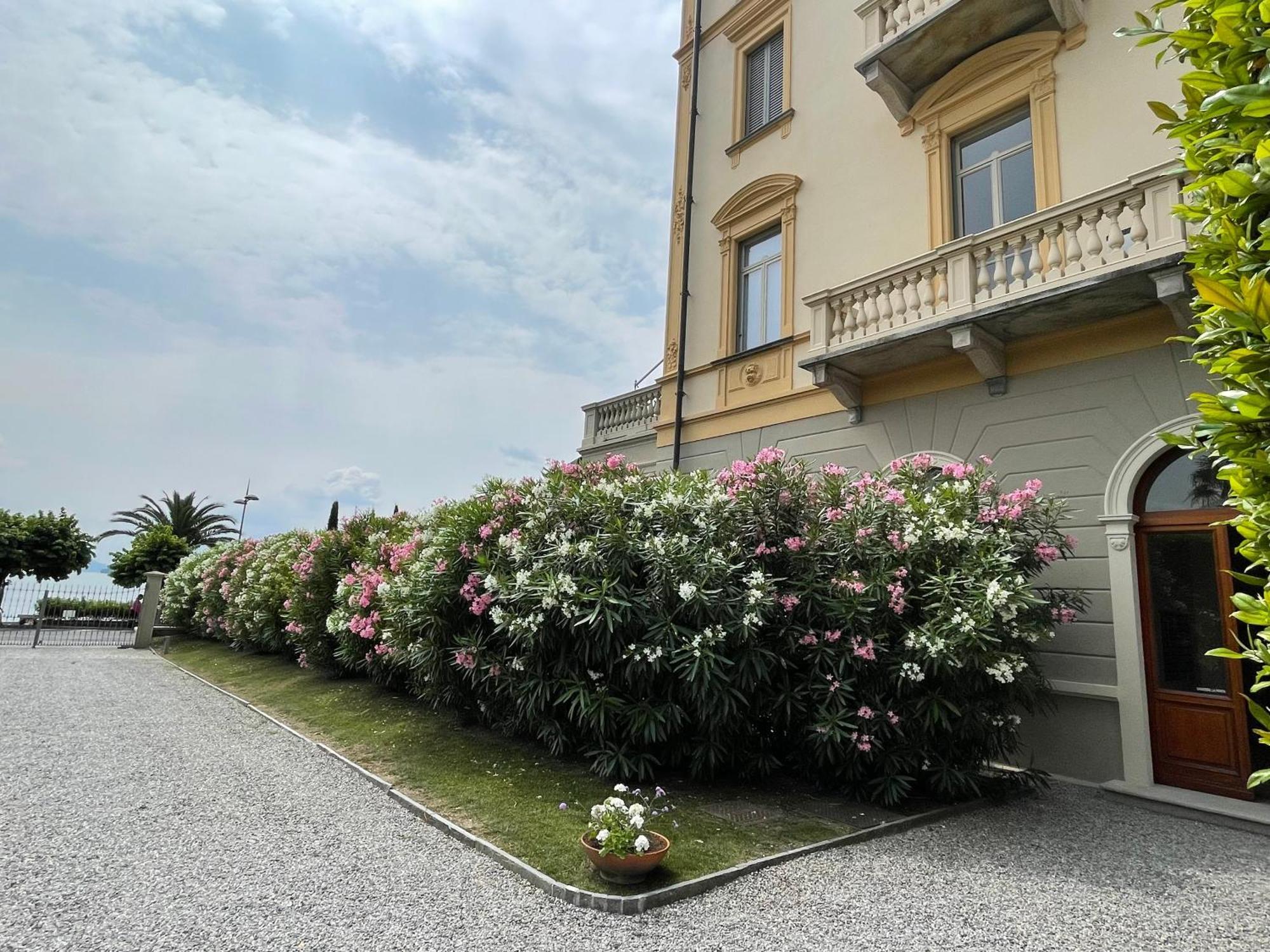 Residenza Victoria Menaggio Exterior foto